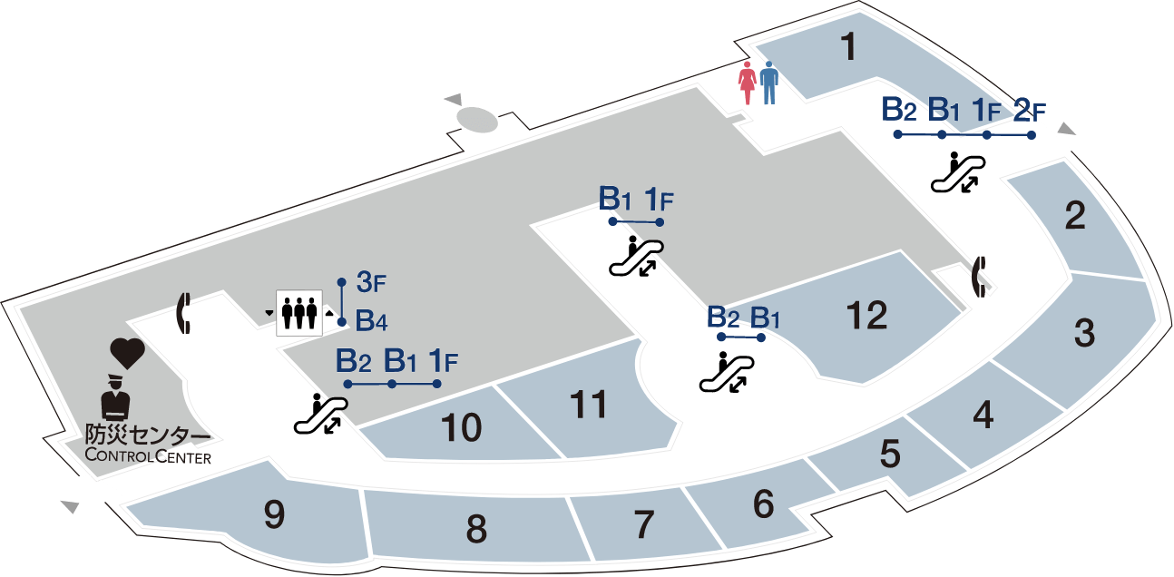 B1 MAP